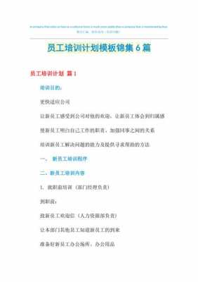 企业培训规划模板_企业培训规划模板范文-第3张图片-马瑞范文网