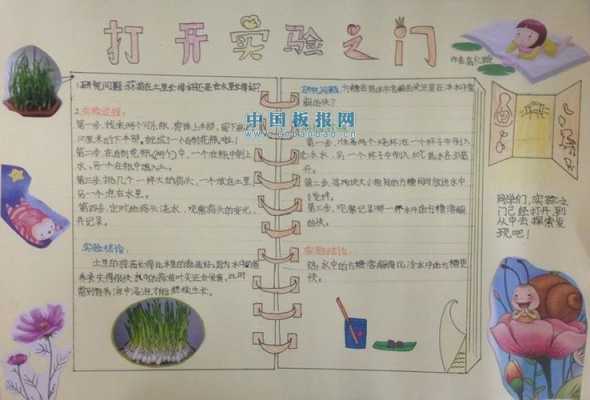 实验手抄报怎么画-实验手抄报模板四年级-第3张图片-马瑞范文网