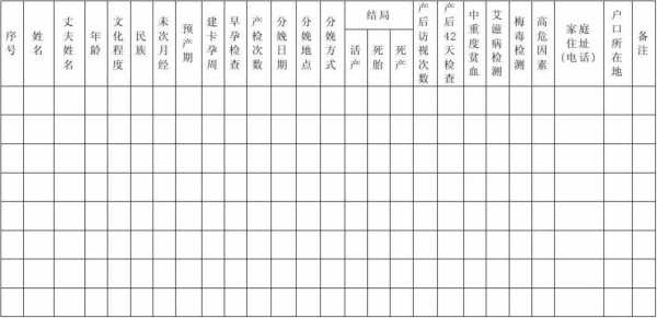 妇幼卫生台账模板,妇幼卫生工作内容 -第2张图片-马瑞范文网