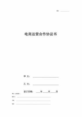 运营合作方案怎么写-项目运营合作合同模板-第2张图片-马瑞范文网