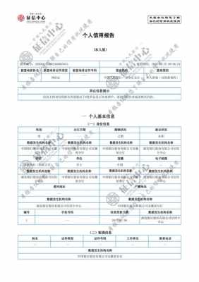 银行征信报告模板-第1张图片-马瑞范文网