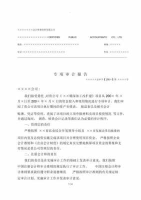 专项调查审计报告模板_什么叫专项审计报告-第2张图片-马瑞范文网