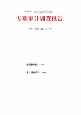 专项调查审计报告模板_什么叫专项审计报告-第3张图片-马瑞范文网