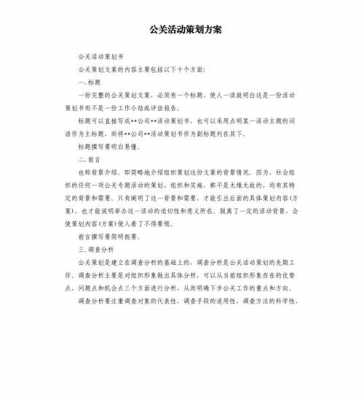 公关方案怎么写-公关方案事件方案模板-第2张图片-马瑞范文网