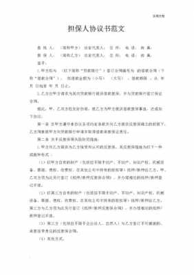 财务担保人模板（财务担保协议书怎么写）-第2张图片-马瑞范文网