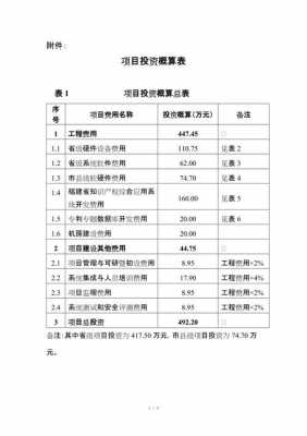 项目的投资预算方案模板_投资预算内容-第1张图片-马瑞范文网