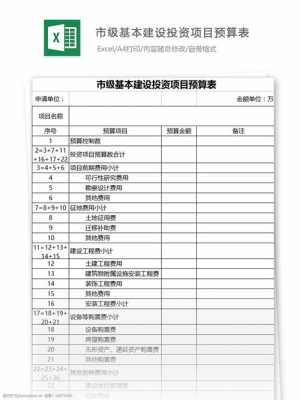 项目的投资预算方案模板_投资预算内容-第2张图片-马瑞范文网