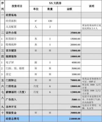 项目的投资预算方案模板_投资预算内容-第3张图片-马瑞范文网