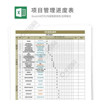 项目管理推进-项目推行管理模板-第3张图片-马瑞范文网