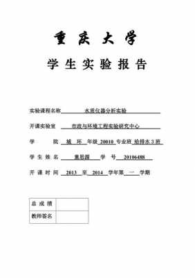 试验技术分析报告模板,试验技术分析报告模板范文 -第2张图片-马瑞范文网