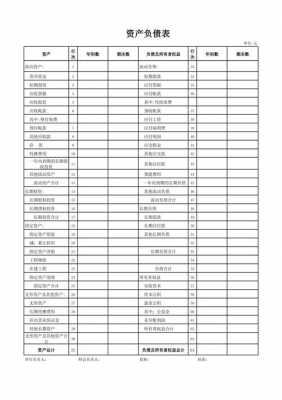 关于2015年资产负债表模板的信息-第2张图片-马瑞范文网