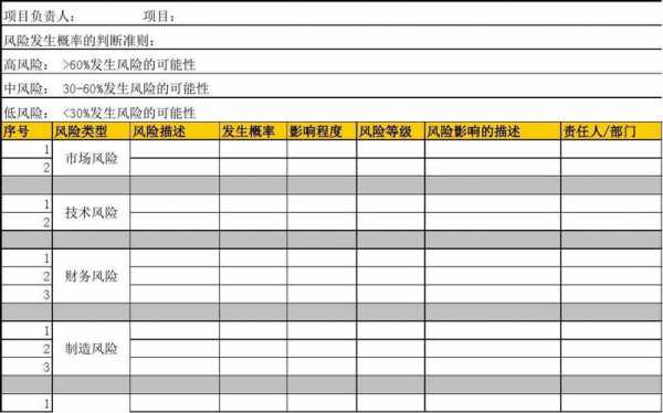 风险投资项目评估模板怎么写-第3张图片-马瑞范文网