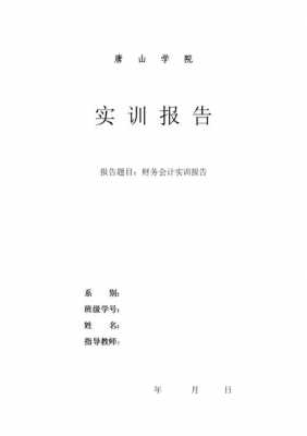  财务报表实训报告模板「财务报表实训报告模板怎么写」-第2张图片-马瑞范文网