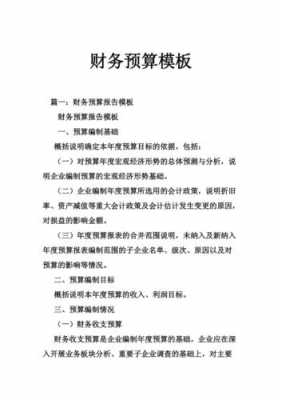  企业财务预算模板「企业财务预算报告案例」-第3张图片-马瑞范文网