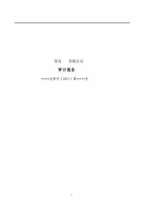 工程项目外审 省外工程申请审计报告模板-第3张图片-马瑞范文网