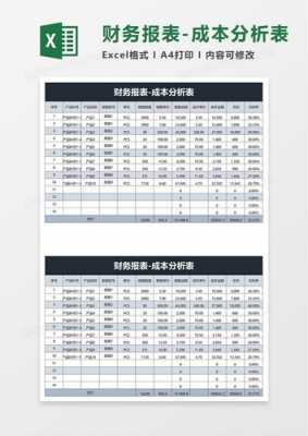 管理财务报表模板,管理用报表分析 -第1张图片-马瑞范文网