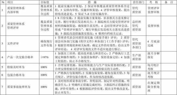 质量提升计划模板-第3张图片-马瑞范文网