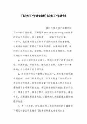 2020年财务管理工作计划-第1张图片-马瑞范文网