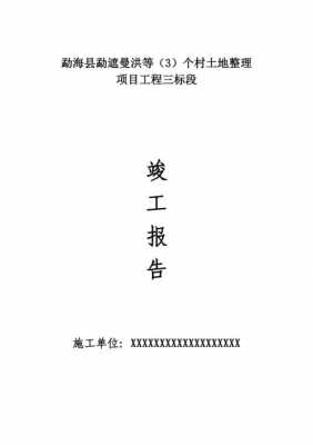 土地整治验收报告模板,土地整治验收报告模板范文 -第3张图片-马瑞范文网