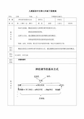 神经调节 教案 神经系统调节教案模板-第1张图片-马瑞范文网