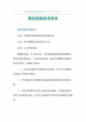 民事责任协议书怎么写才有效-第1张图片-马瑞范文网