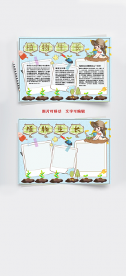 植物生长手抄报报模板-第2张图片-马瑞范文网