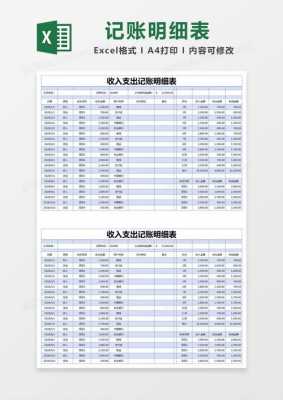 收入与支出台账模板,收入与支出明细表 -第1张图片-马瑞范文网