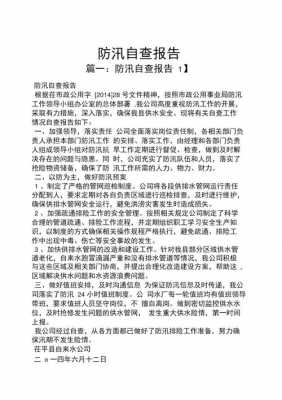 防汛报告模板（防汛汇报材料）-第2张图片-马瑞范文网