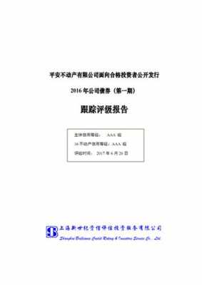 不动产评级报告模板-第2张图片-马瑞范文网