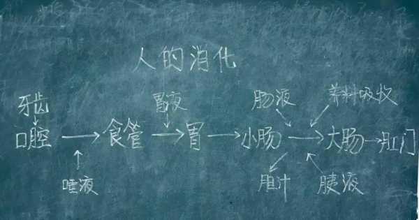 教学版书模板样式,教材制作模板 -第1张图片-马瑞范文网