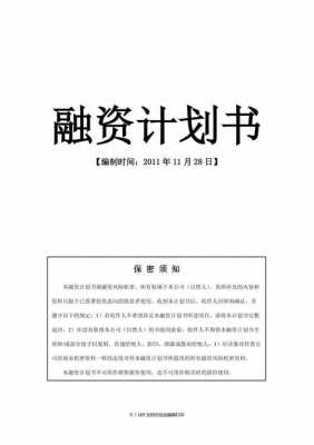 策划书模板融资,投融资策划书 -第3张图片-马瑞范文网