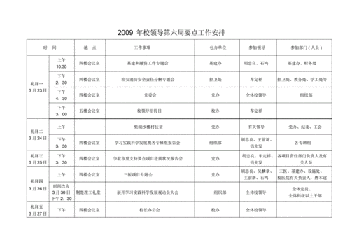 重要事项安排-第2张图片-马瑞范文网