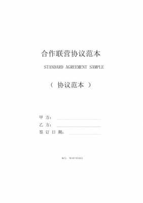 联营合作协议方案模板,联营合作协议方案模板范文 -第3张图片-马瑞范文网