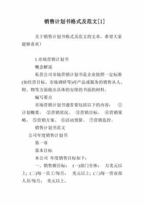  软件销售计划书模板「软件销售计划书模板范文」-第2张图片-马瑞范文网