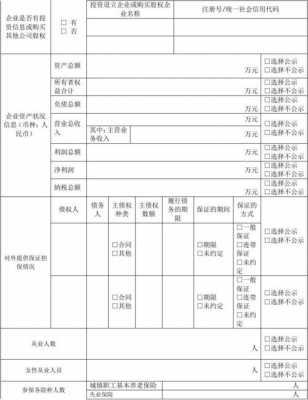 工商年检表格-第1张图片-马瑞范文网