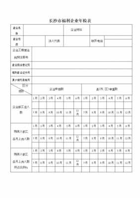 工商年检表格-第3张图片-马瑞范文网