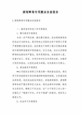 专项治理自查报告模板（专项整治自查方案）-第1张图片-马瑞范文网