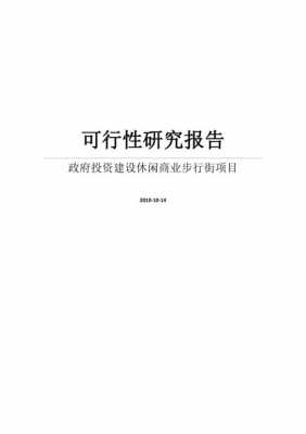 政府可行性报告模板_政府可行性报告模板怎么写-第3张图片-马瑞范文网