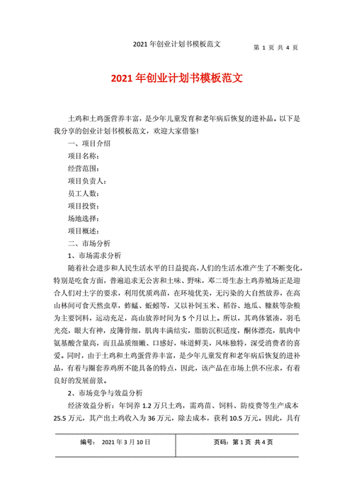 小微企业创业计划-微型企业创业计划书模板-第3张图片-马瑞范文网