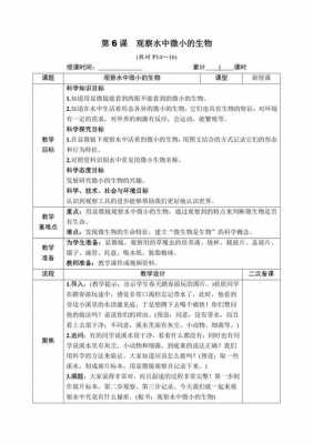 中学生物微课教案模板下载-中学生物微课教案模板-第1张图片-马瑞范文网