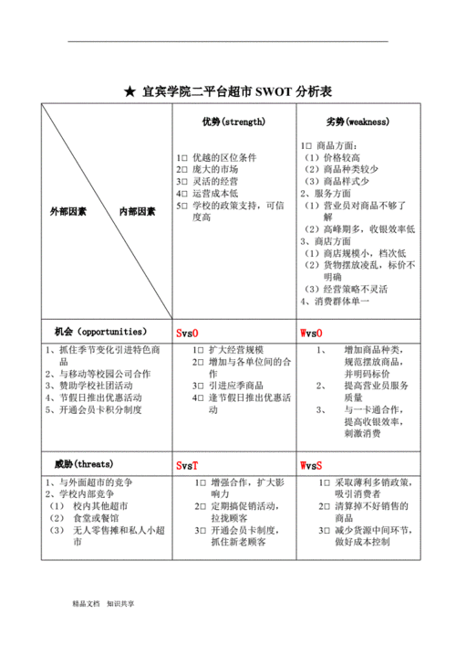 swot市场分析中文模板下载_swot分析报告范文-第3张图片-马瑞范文网