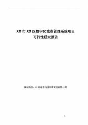 城市管理分析报告模板-第3张图片-马瑞范文网