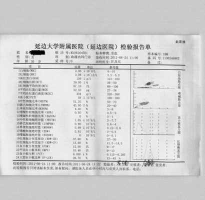 血常规化验单模板-第2张图片-马瑞范文网