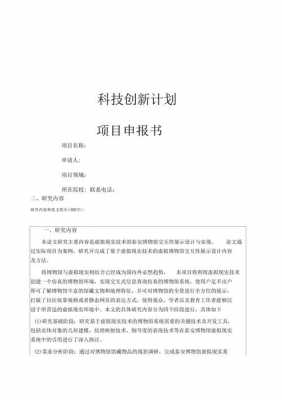  申报项目的文件模板「申报项目报告怎么写」-第2张图片-马瑞范文网