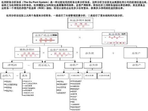 杜邦分析报告万能模板-第1张图片-马瑞范文网