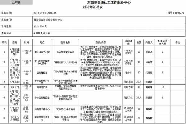 社工项目年度计划模板-第2张图片-马瑞范文网