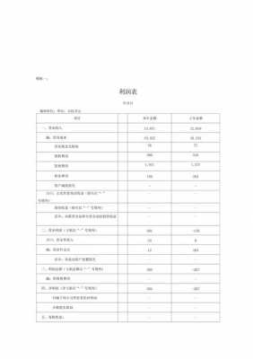 审计报告中利润表模板-第1张图片-马瑞范文网