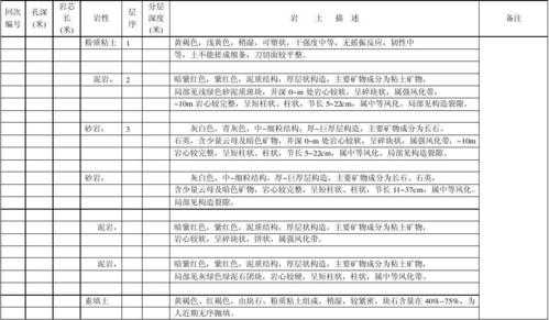 修井地质措施模板,修井地质措施模板图片 -第1张图片-马瑞范文网