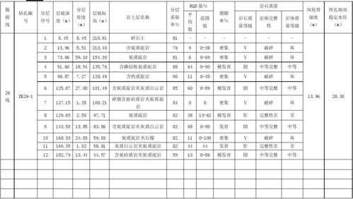 修井地质措施模板,修井地质措施模板图片 -第2张图片-马瑞范文网