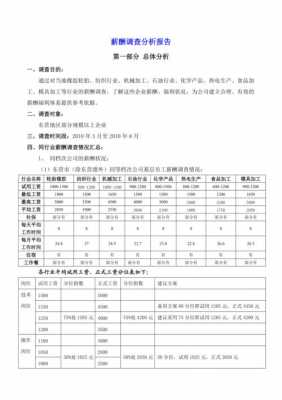 薪酬分析报告模板怎么写-第2张图片-马瑞范文网